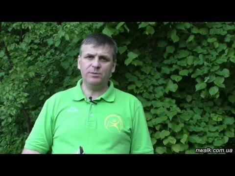 передача малышевой о паразитах в организме человека передача малышевой о паразитах в организме человека