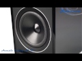 Полочная акустика Acoustic Energy AE 301