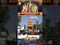 రథోత్సవం || శ్రీ ప్రసన్న వేంకటేశ్వరస్వామి బ్రహ్మోత్సవాలు-2025 || అప్పలాయగుంట || SVBC TTD