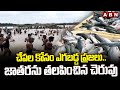 చేపల కోసం ఎగబడ్డ ప్రజలు.. జాతరను తలపించిన చెరువు | Mahabubabad District | Fishing | ABN Telugu
