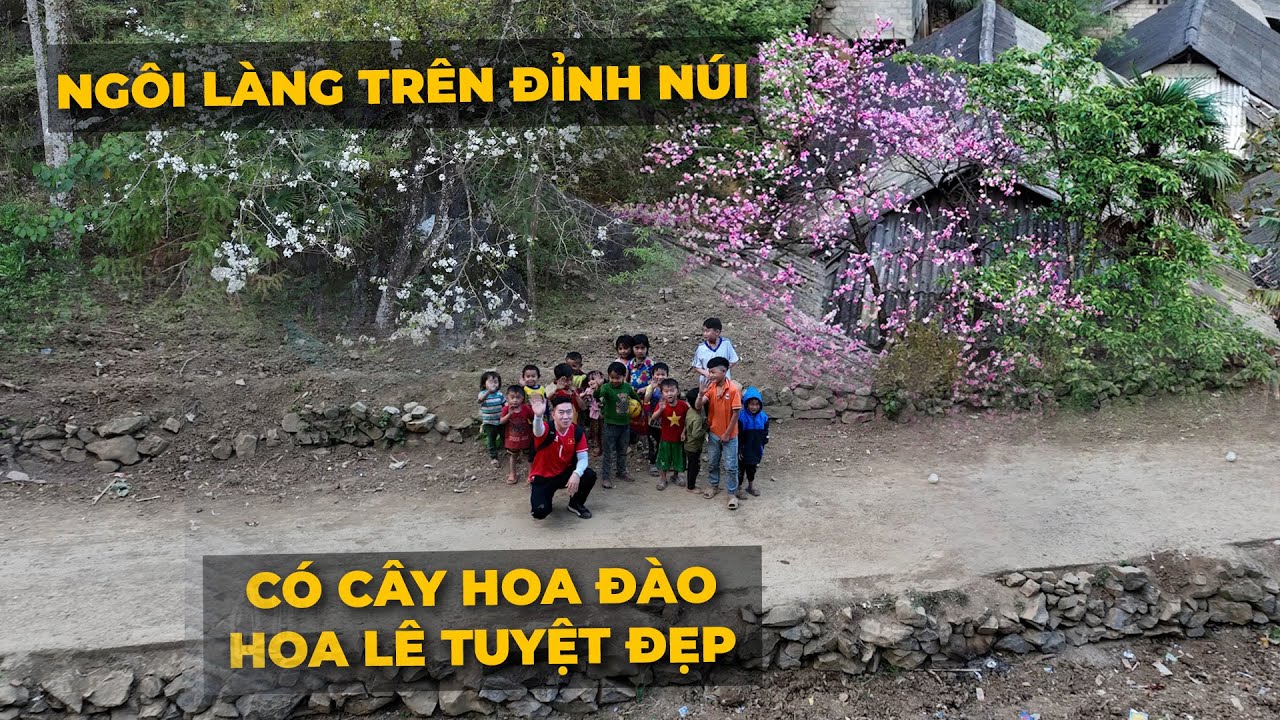 Tìm cây hoa đào và hoa lê đẹp nhất làng Tìa Cua Si - Hà Giang
