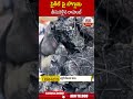 సైకిల్ పై బొగ్గు తీసుకెళ్లిన రాహుల్ | #rahulgandhi #telugunews | ABN Telugu