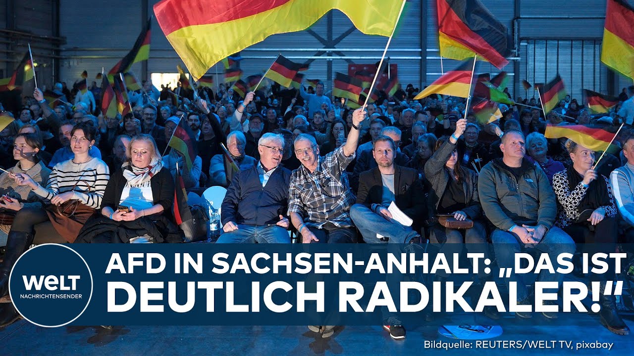 SACHSEN-ANHALT: „AfD will regieren – hat aber null Ahnung, wie das geht“ | Wahlprogramm radikal