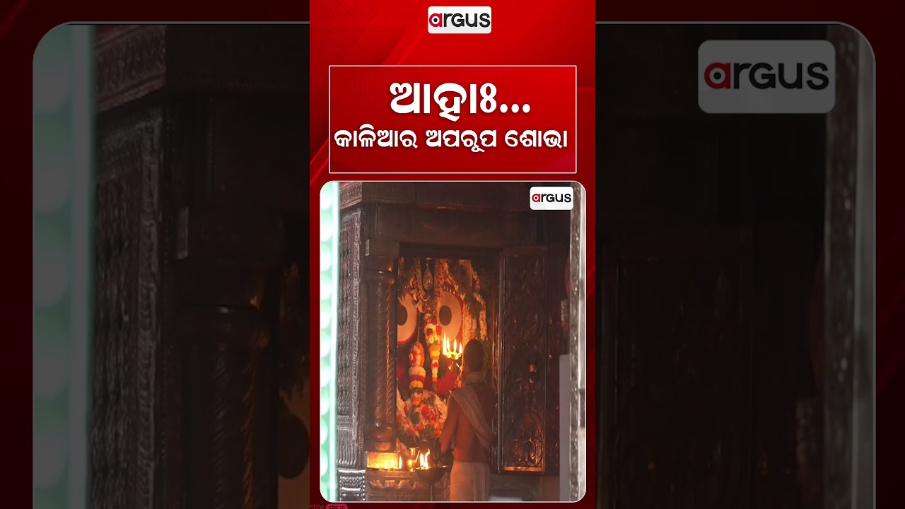 କାଳିଆର ଅପରୂପ ଶୋଭା | Puri Rain | Devotees Drench in Devotion at Shree Jagannath Temple | Argus News