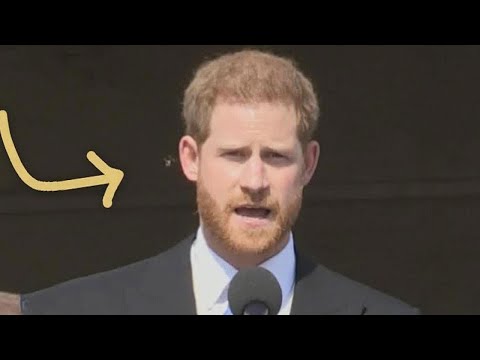 Watch Meghan Markle Giggle as Prince Harry Is Attacked by a Bee at First Official Engagement