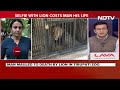 Tirupati Lion Attack | Drunk Man Enters Lions Enclosure In Tirupati Zoo For Selfie. Mauled To Death  - 03:57 min - News - Video