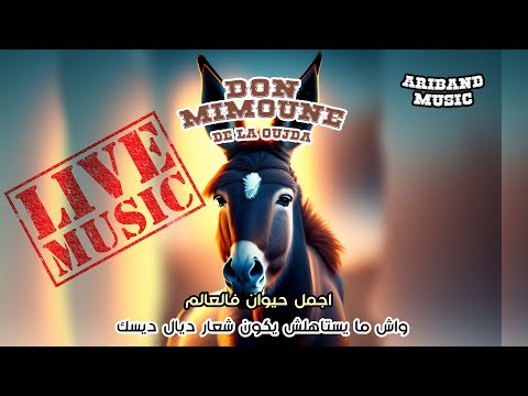 Ariband - Don mimoun