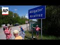 Florida official says Alligator Alcatraz will likely be empty within days, email shows