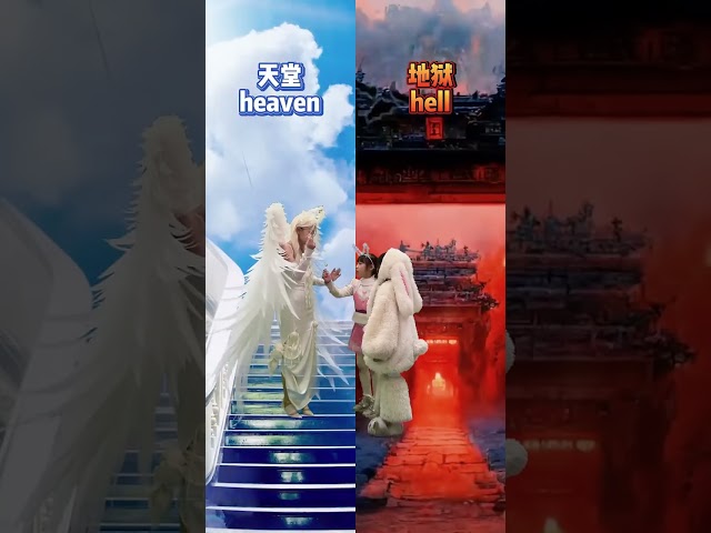 【斗罗大陆】天使竟然欺负好人，还好有地狱使者将她审判！#斗罗大陆#唐舞桐#小舞