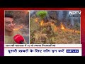 Uttarakhand Forest Fire: उत्तराखंड के जंगलों में लगी आग, 4 लोगों की मौत 10 से ज्यादा गिरफ्तारियां  - 11:15 min - News - Video