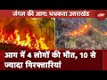 Uttarakhand Forest Fire: उत्तराखंड के जंगलों में लगी आग, 4 लोगों की मौत 10 से ज्यादा गिरफ्तारियां