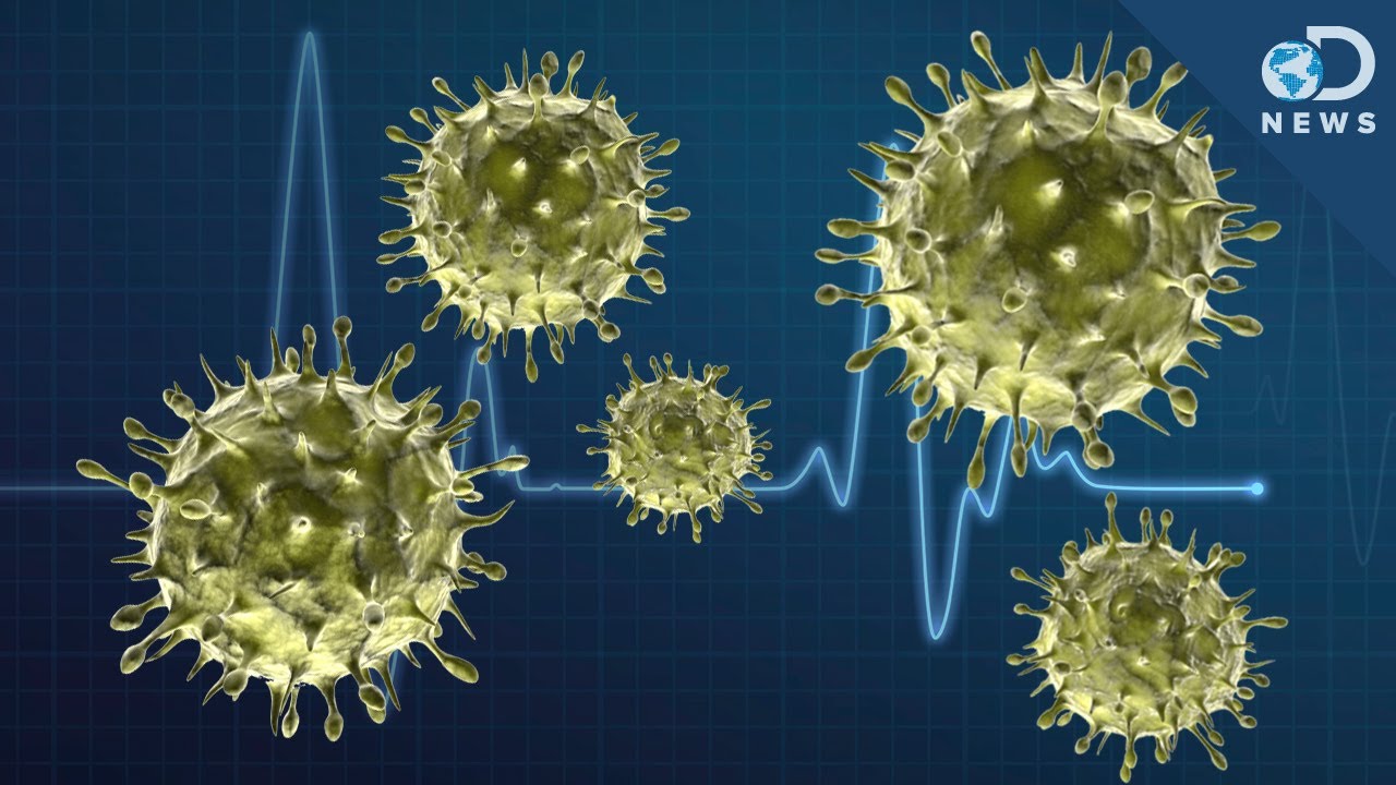 Are Viruses Alive YouTube