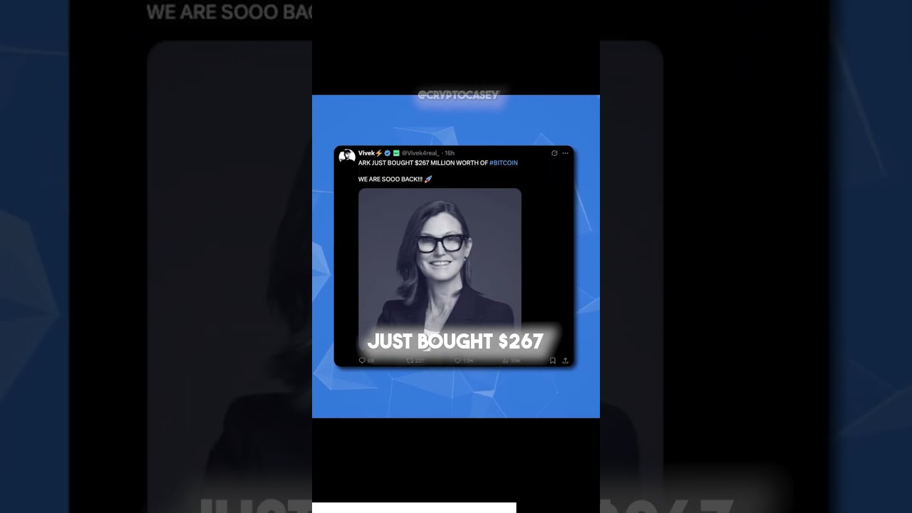 Here’s Why I Invest in BTC Not Startups