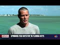 Mystery over fish die-off in Florida  - 01:44 min - News - Video