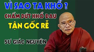 Vì Sao Ta Khổ? – Con Đường Chấm Dứt Khổ Đau Từ Gốc Rễ | Sư Giác Nguyên | Sư Toại Khanh