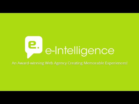 video e-intelligence | Rated Best Website Development & SEO Company India