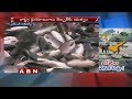 Politics behind AP Fish Ban in northeastern states