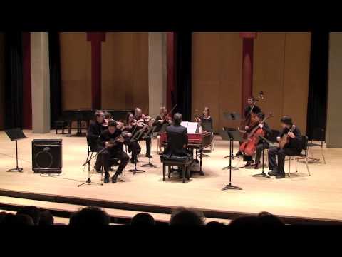 Federico Tarazona - Federico Tarazona / Antonio Vivaldi, concerto in Re maggiore 