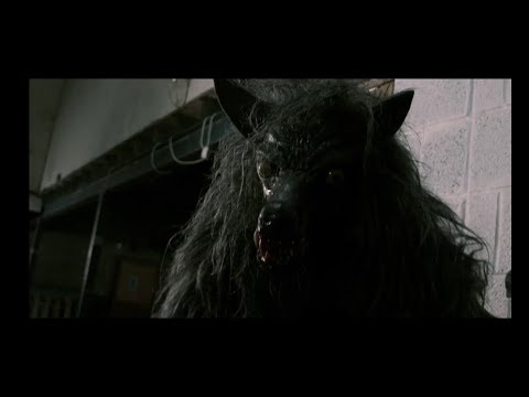 The Snarling'