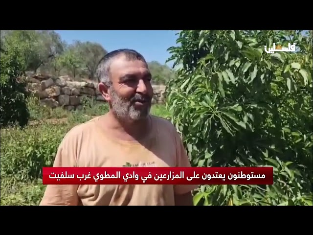 مستوطنون يعتدون على المزارعين في وادي المطوي غرب سلفيت