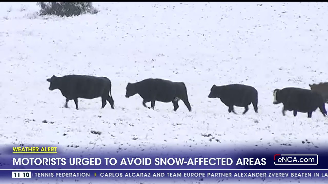 Gavin Kelly - Motorists urged to avoid snow-affected areas