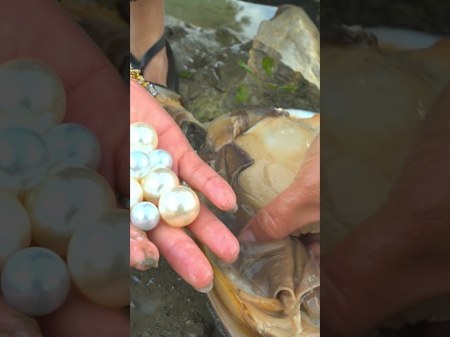 Teen Girl Digs Up Strange River Clam, Discovers Hidden Treasures #pearlhunter