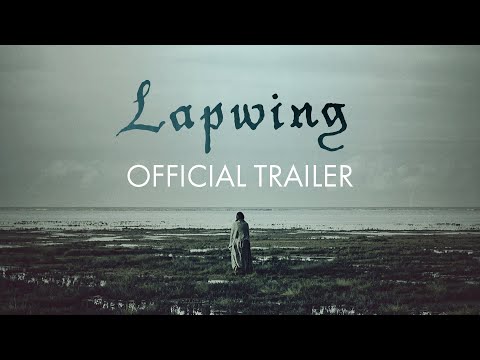 Lapwing'