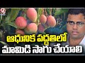 Collector Uday Kumar Holds Awareness Program To Farmers On Mango Farming | Nagarkurnool | V6 News