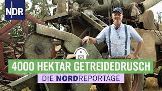 Hitzeschlacht bei Bauer Kruse - Werner & Robby retten die Ernte | Die Nordreportage | NDR