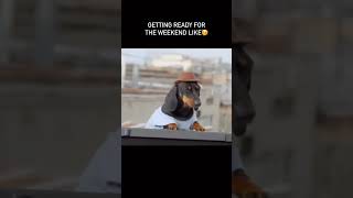 Getting ready for the weekend #ello