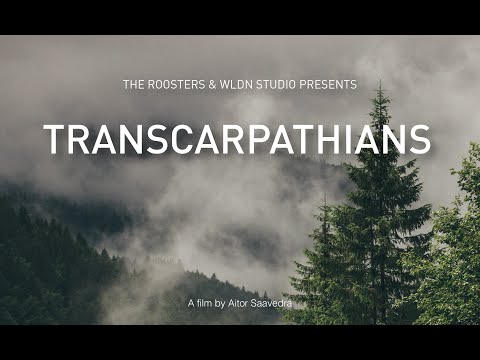Transcarpathians'