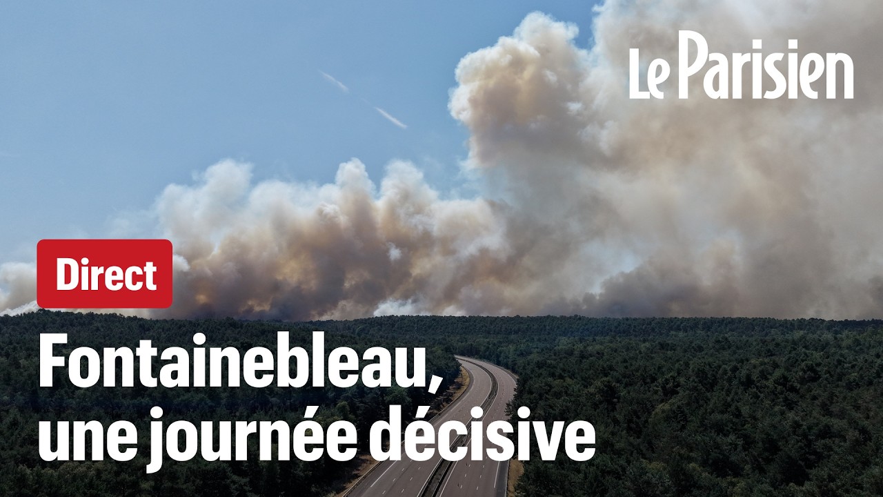 Direct : incendies, dans la forêt de Fontainebleau, le feu «contenu» mais pas encore fixé