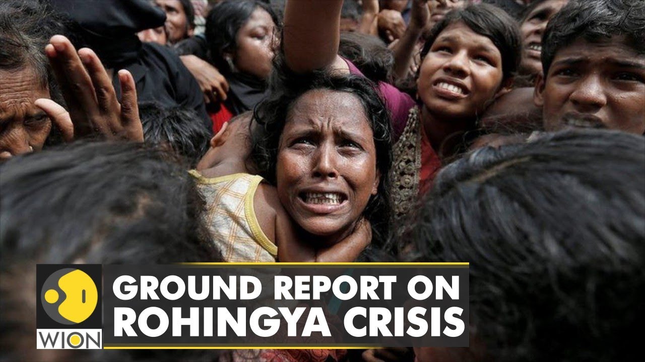Rising tensions between Rohingya and Bangladeshi Locals | WION Ground Report
