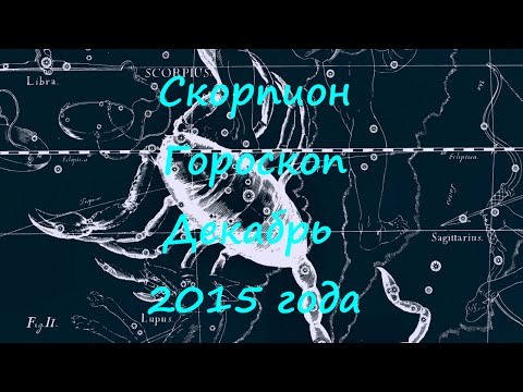 проходит гороскоп на завтра 24 декабря 2015 скорпион всегда можно обзавестись