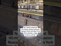 Bull on train tracks disrupts NJ Transit  - 00:19 min - News - Video