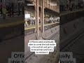 Bull on train tracks disrupts NJ Transit