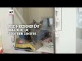 Rise in designer cat breeds at UK adoption centers  - 01:16 min - News - Video