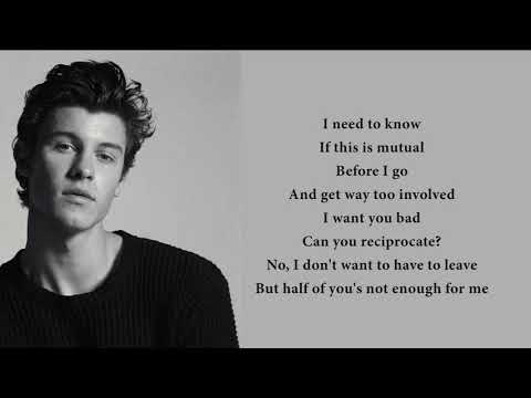 Shawn Mendes - Mutual (lyrics)