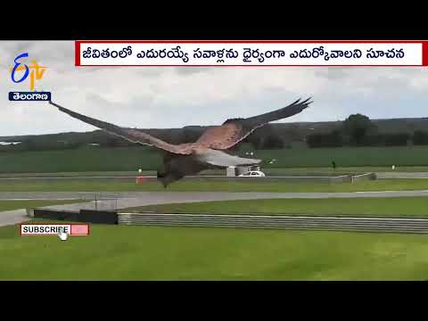Watch: Anand Mahindra shared a motivational video in Twitter Watch: Anand Mahindra shared a motivational video in Twitter