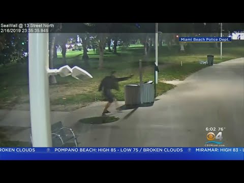 Miami Beach Need Help Finding Gunman In Weekend Murder