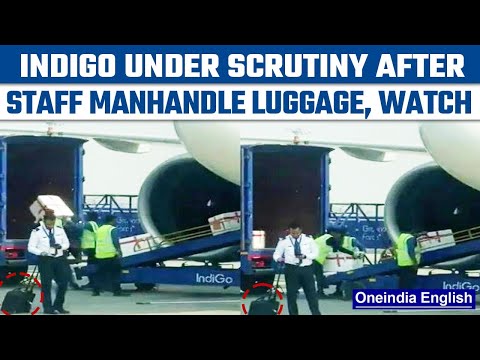 Viral video: IndiGo staff manhandle luggage, airline responds Viral video: IndiGo staff manhandle luggage, airline responds