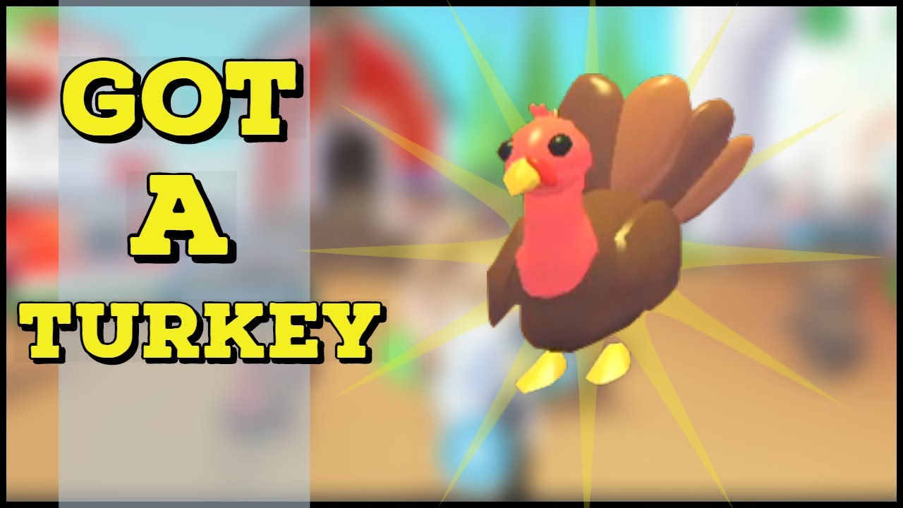Adopt Me Roblox Money Glitch - most expensive face on roblox wwwrxgatect