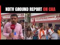 CAA News | NDTV Special Report: West Bengals Matua Community Celebrates CAA Notification