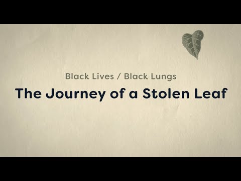 The new short documentary “Black Lives/Black Lungs: The Journey of a Stolen Leaf” explores the tobacco industry’s manipulative efforts to protect profits, subvert regulations, and maintain influence to hook a new generation to nicotine. The film is available now on YouTube.