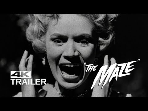 The Maze'