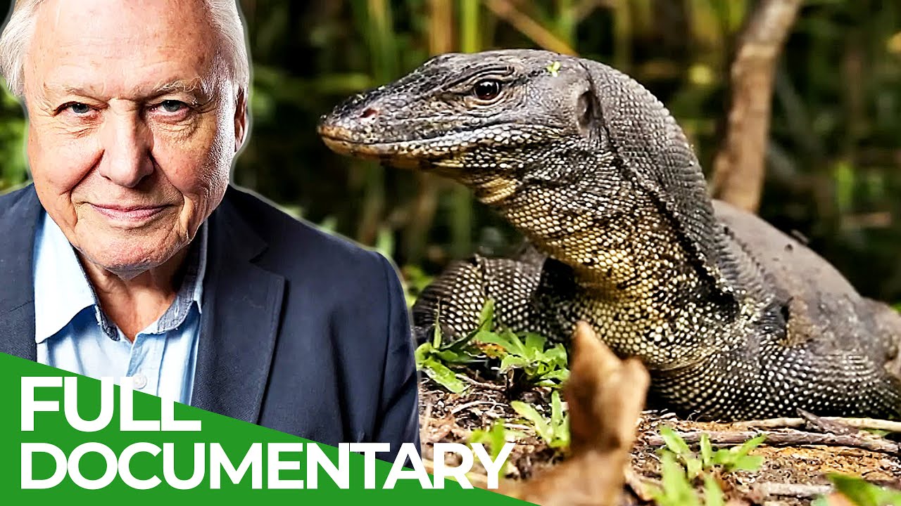 David Attenborough's Wild City | Episode 2: Urban Wild | Free Documentary Nature