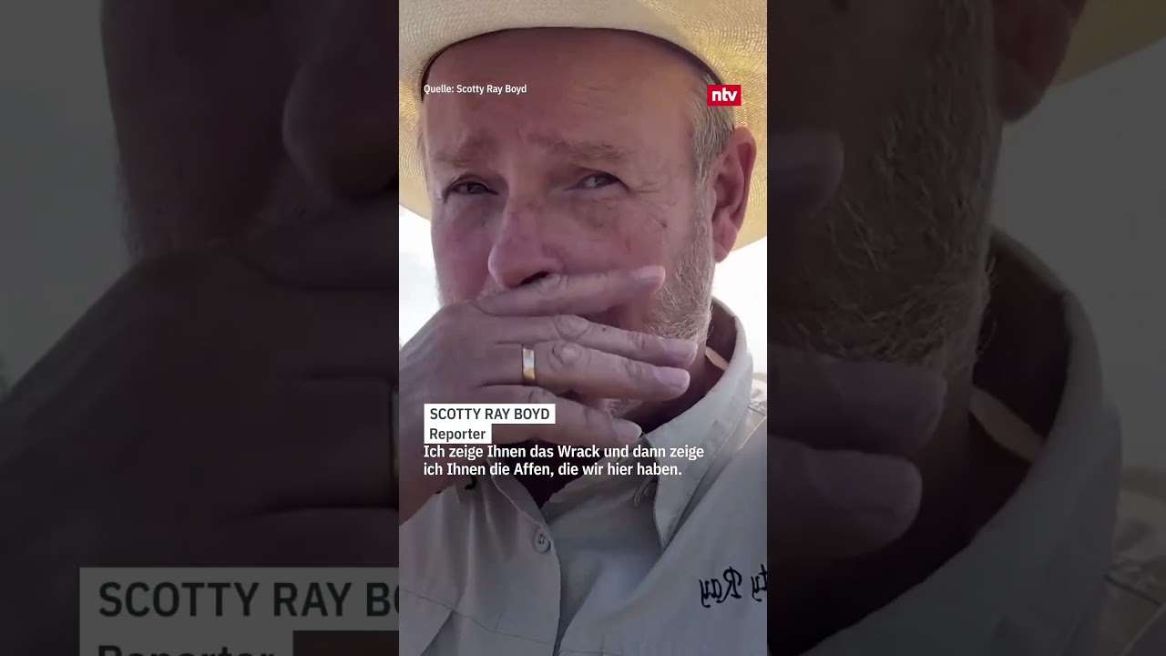 Labor-Affen überleben Lkw-Crash - Polizei erschießt Tiere | ntv