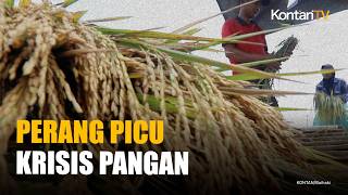 Konflik Timur Tengah Mengancam Krisis Pangan Dunia