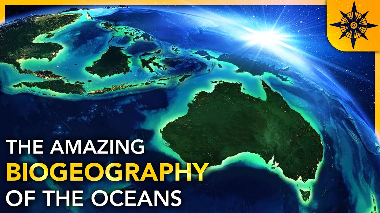 The Biogeography of the Oceans