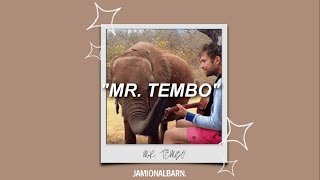 Mr. Tembo - Damon Albarn (Lyrics//Subtitulado al Español)